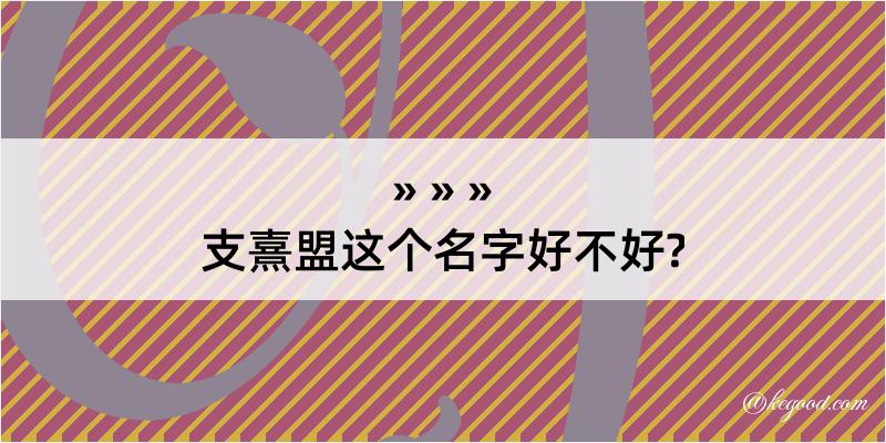 支熹盟这个名字好不好?