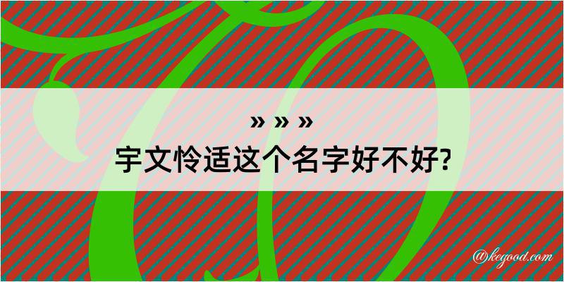 宇文怜适这个名字好不好?