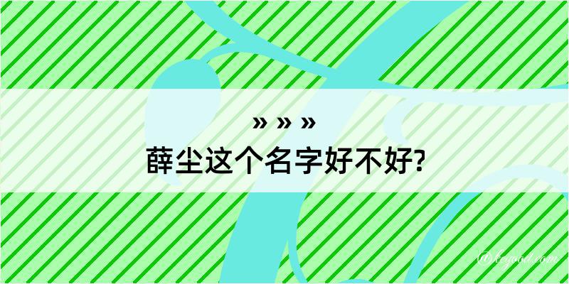 薛尘这个名字好不好?