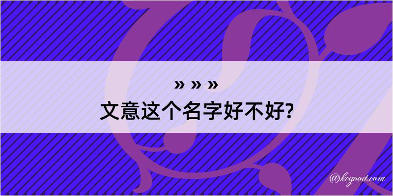 文意这个名字好不好?