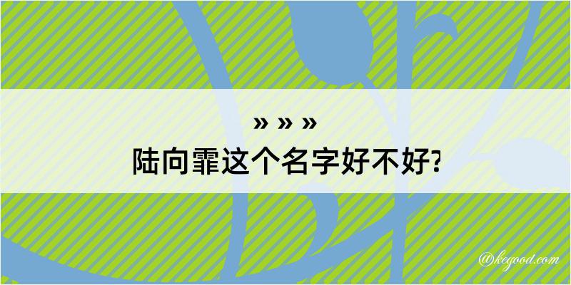 陆向霏这个名字好不好?