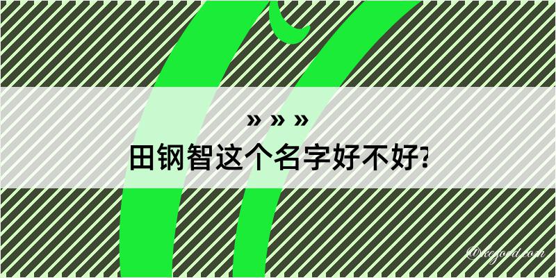 田钢智这个名字好不好?