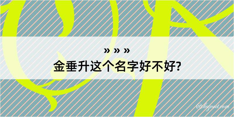 金垂升这个名字好不好?