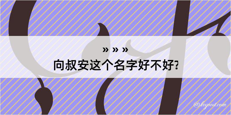 向叔安这个名字好不好?