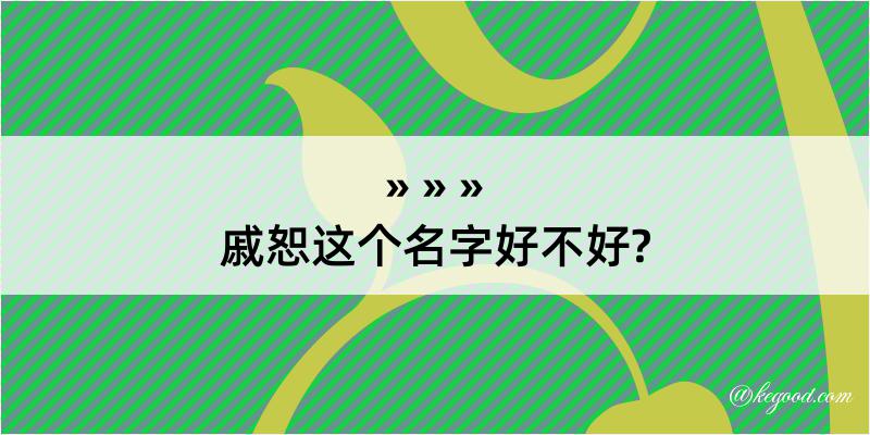 戚恕这个名字好不好?