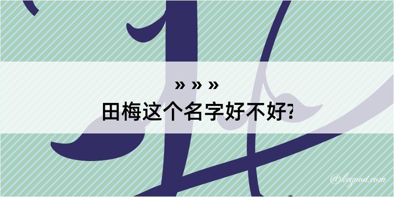 田梅这个名字好不好?