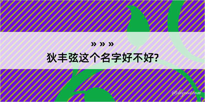 狄丰弦这个名字好不好?