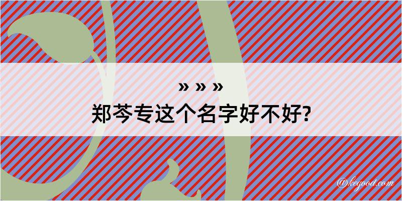 郑芩专这个名字好不好?