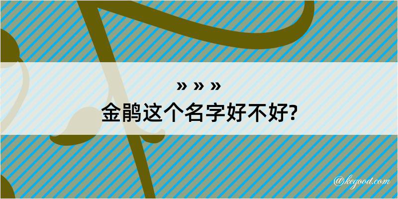 金鹃这个名字好不好?