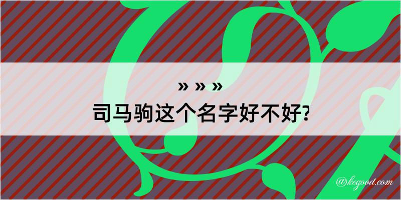 司马驹这个名字好不好?