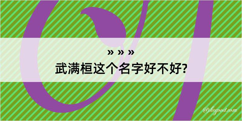 武满桓这个名字好不好?