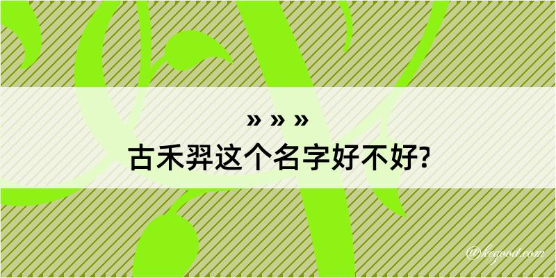 古禾羿这个名字好不好?