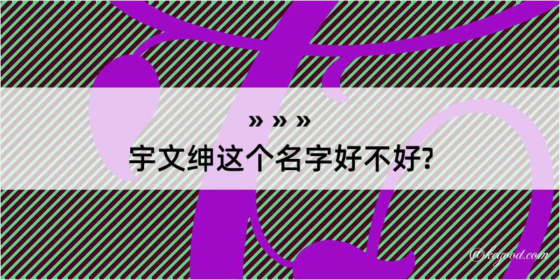 宇文绅这个名字好不好?