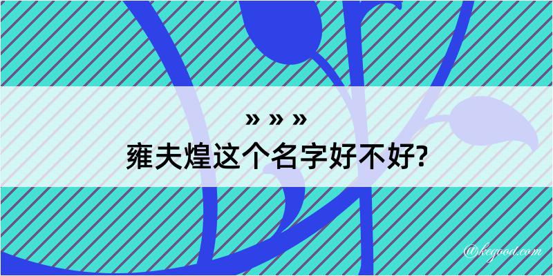 雍夫煌这个名字好不好?