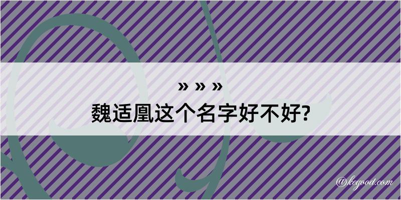 魏适凰这个名字好不好?