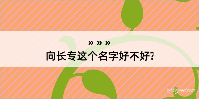 向长专这个名字好不好?