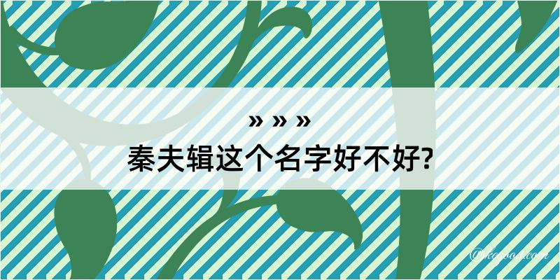 秦夫辑这个名字好不好?