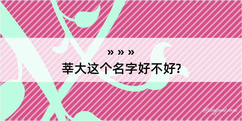 莘大这个名字好不好?