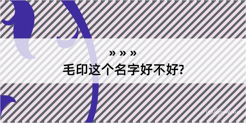 毛印这个名字好不好?