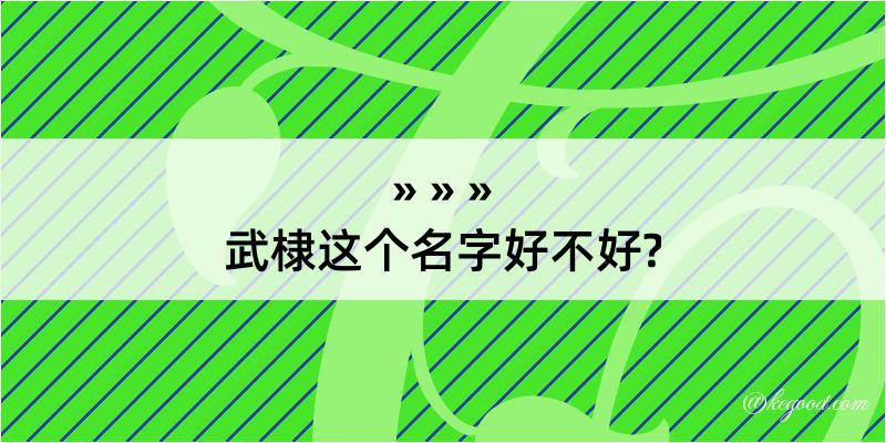 武棣这个名字好不好?