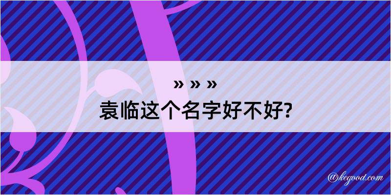 袁临这个名字好不好?