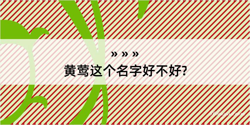 黄莺这个名字好不好?