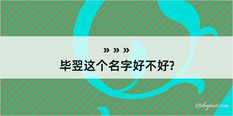 毕翌这个名字好不好?