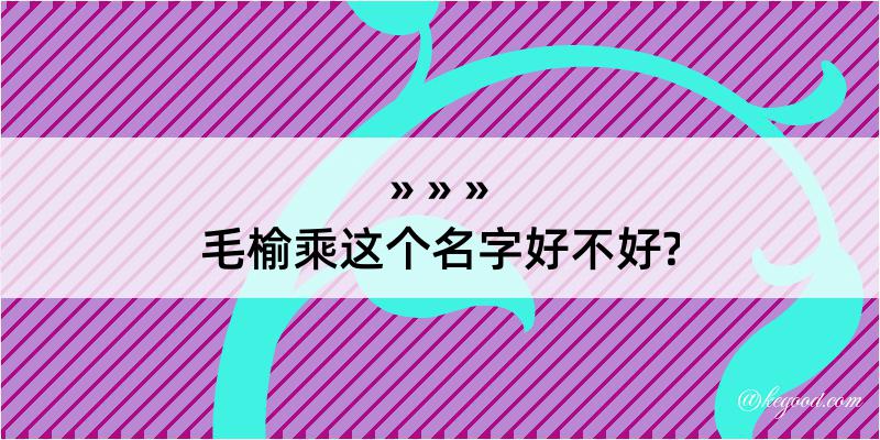 毛榆乘这个名字好不好?