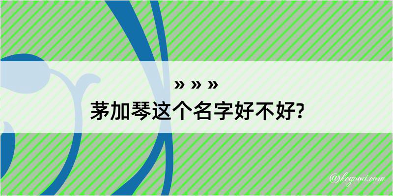 茅加琴这个名字好不好?