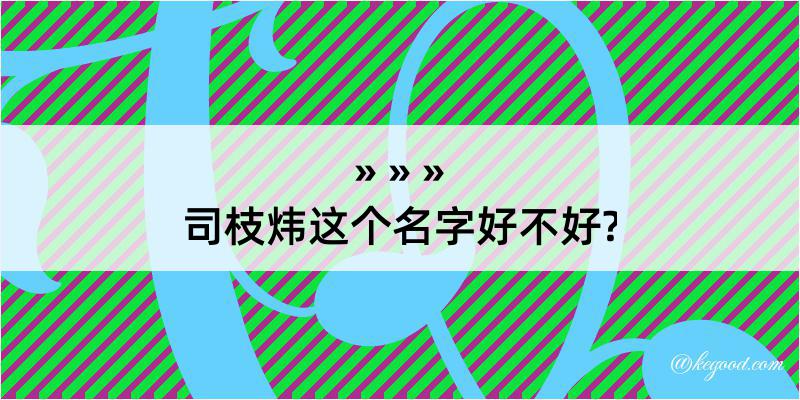 司枝炜这个名字好不好?