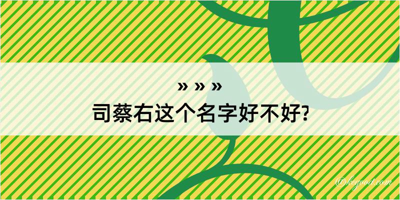 司蔡右这个名字好不好?