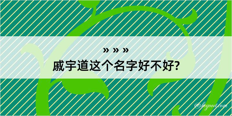 戚宇道这个名字好不好?