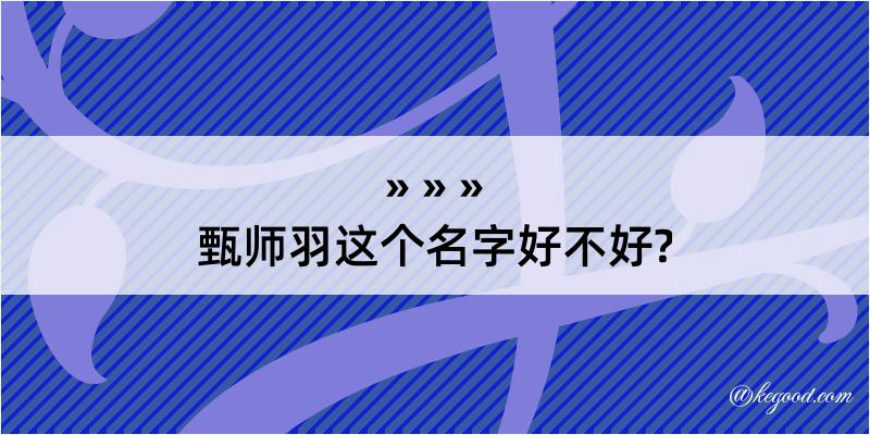 甄师羽这个名字好不好?