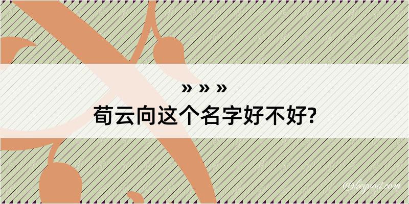 荀云向这个名字好不好?