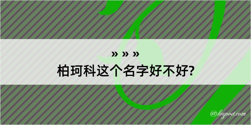 柏珂科这个名字好不好?