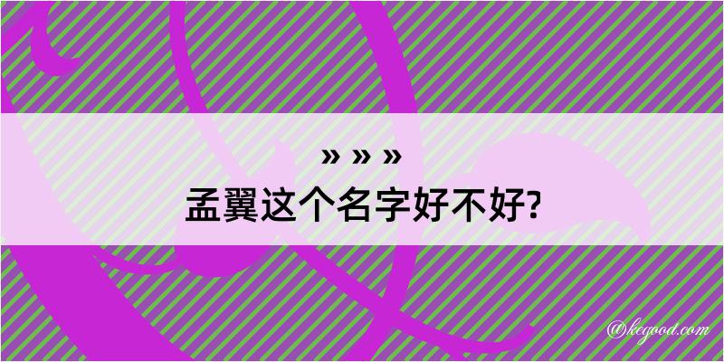 孟翼这个名字好不好?