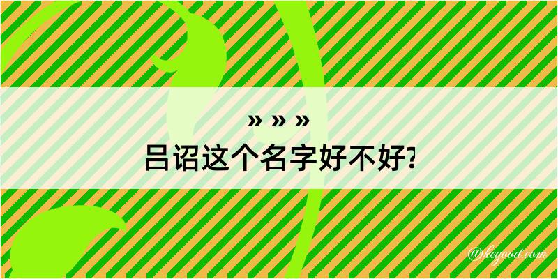 吕诏这个名字好不好?