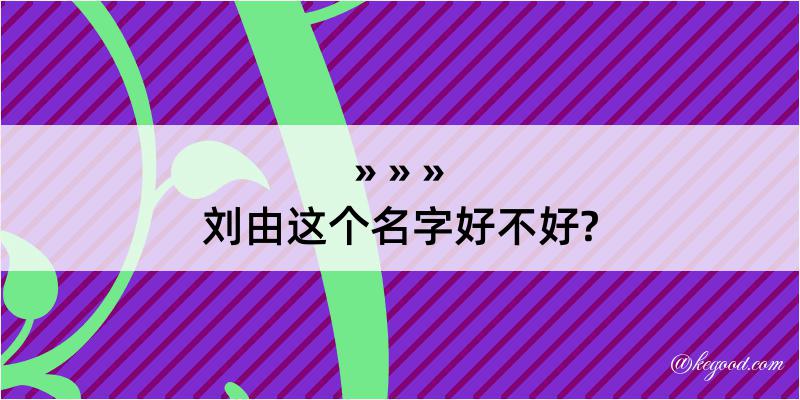 刘由这个名字好不好?