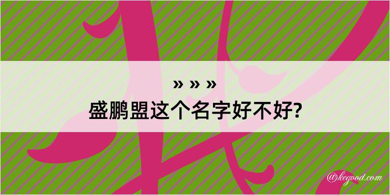 盛鹏盟这个名字好不好?