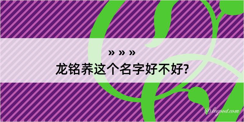 龙铭荞这个名字好不好?