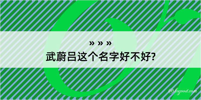 武蔚吕这个名字好不好?