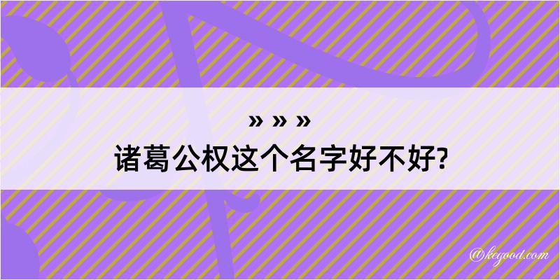 诸葛公权这个名字好不好?