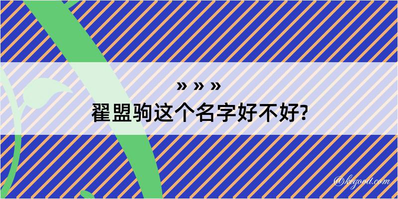 翟盟驹这个名字好不好?