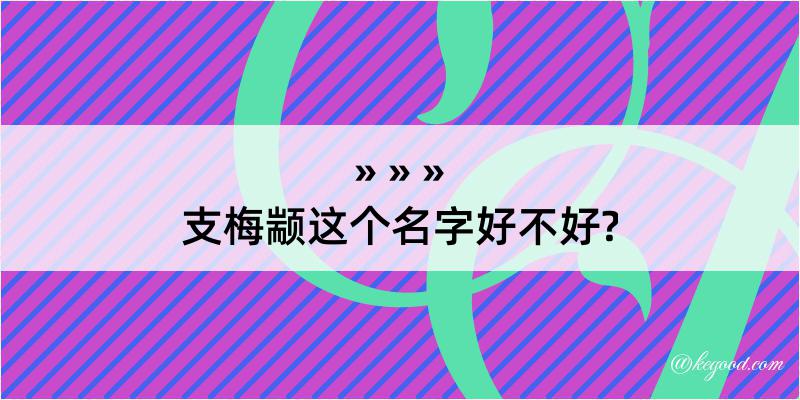 支梅颛这个名字好不好?