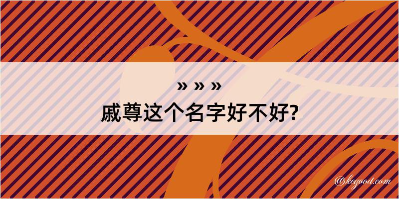 戚尊这个名字好不好?