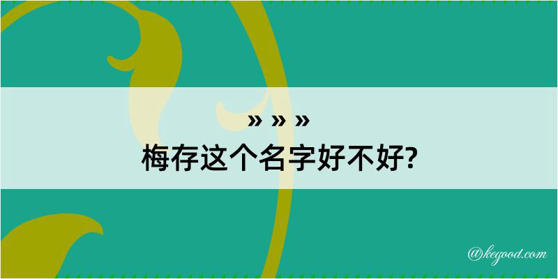 梅存这个名字好不好?