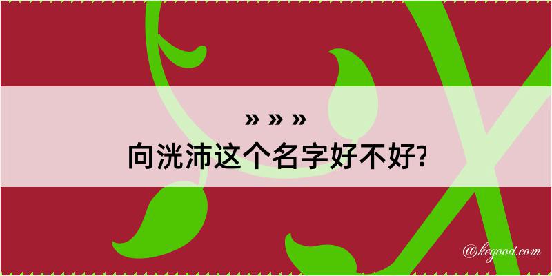 向洸沛这个名字好不好?