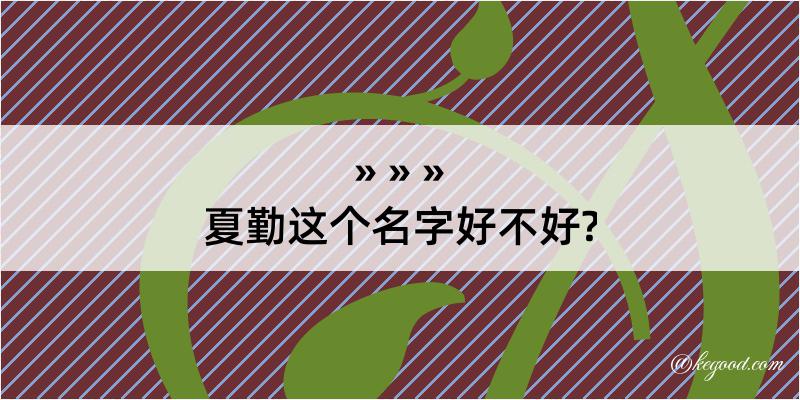 夏勤这个名字好不好?