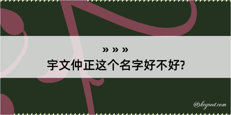 宇文仲正这个名字好不好?