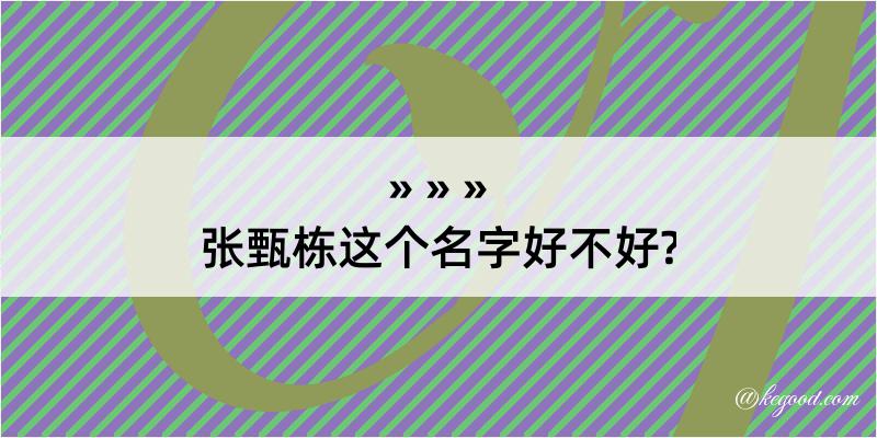 张甄栋这个名字好不好?